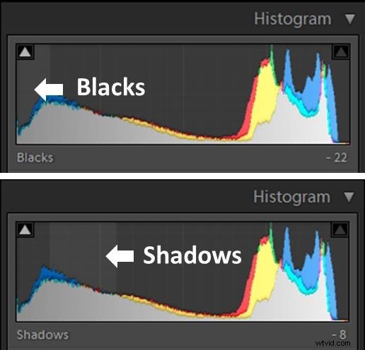 Master Shadows and Blacks in Lightroom: Pro Editing Tutorial