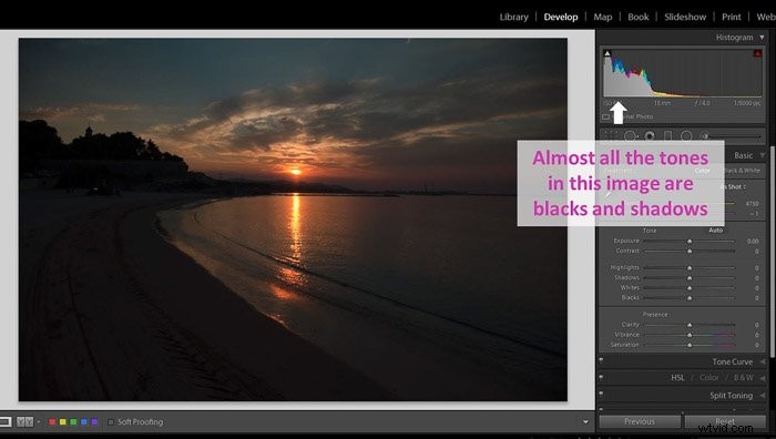 Master Shadows and Blacks in Lightroom: Pro Editing Tutorial