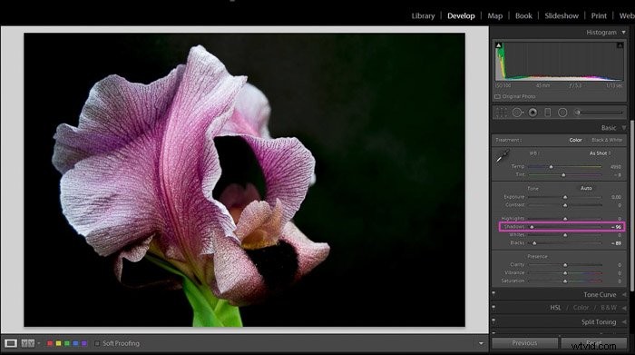 Master Shadows and Blacks in Lightroom: Pro Editing Tutorial