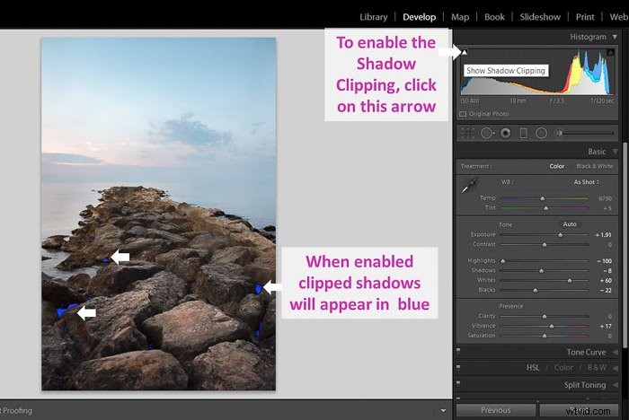Master Shadows and Blacks in Lightroom: Pro Editing Tutorial