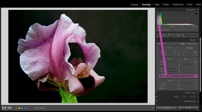 Master Shadows and Blacks in Lightroom: Pro Editing Tutorial