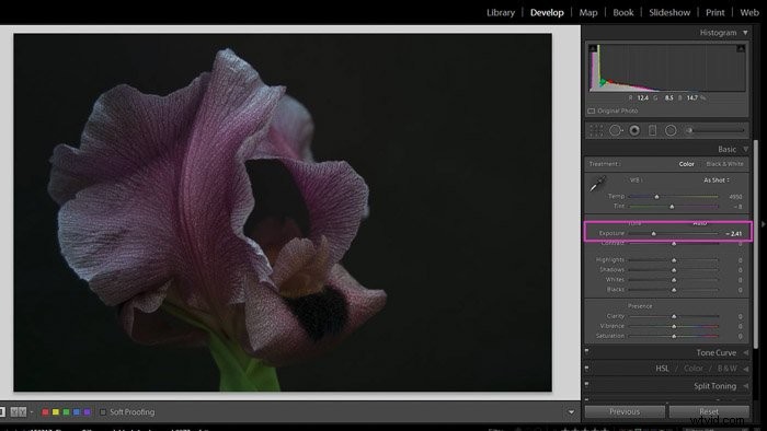 Master Shadows and Blacks in Lightroom: Pro Editing Tutorial