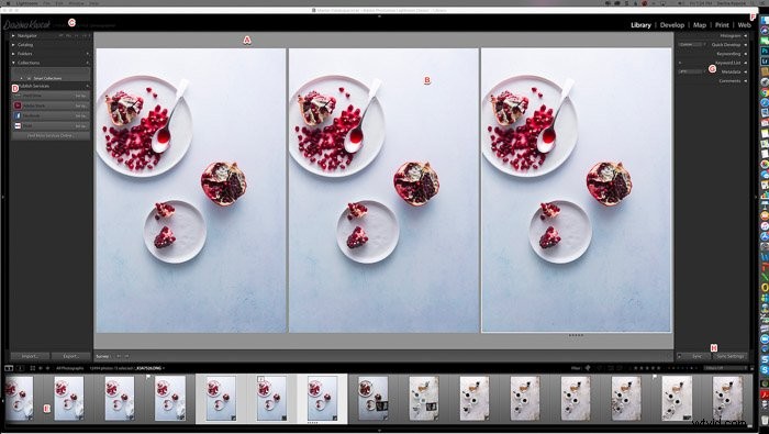 10 Essential Tips to Organize Photos Efficiently in Lightroom