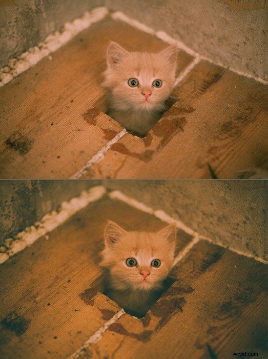 Master Authentic Film Photography Looks in Lightroom: Pro Step-by-Step Guide