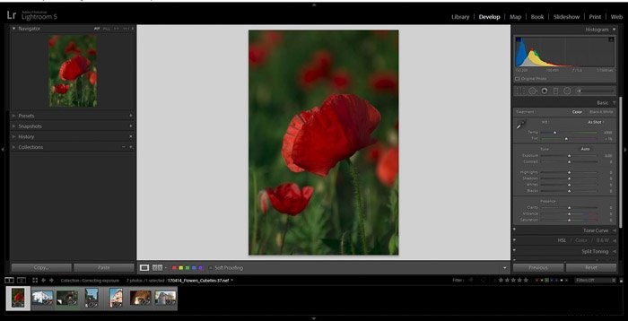 Master Exposure Correction in Adobe Lightroom: Easy Step-by-Step Guide