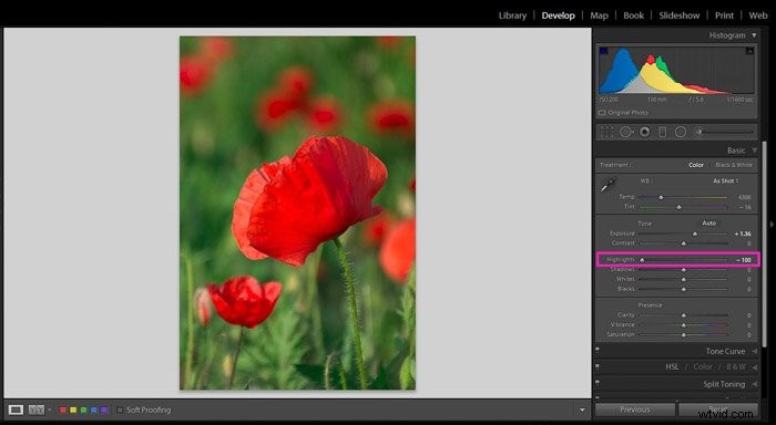 Master Exposure Correction in Adobe Lightroom: Easy Step-by-Step Guide