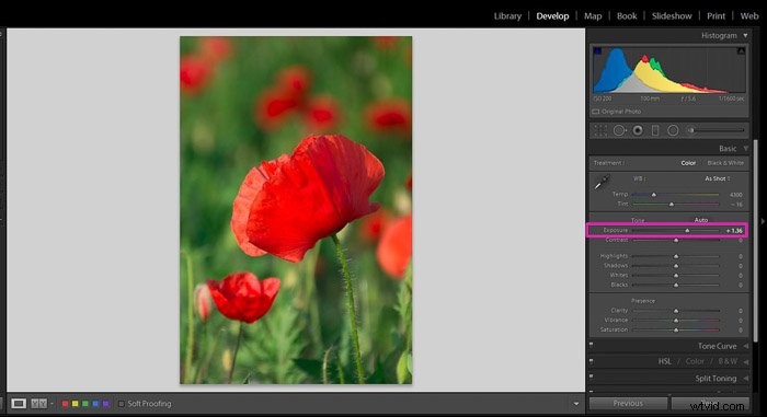 Master Exposure Correction in Adobe Lightroom: Easy Step-by-Step Guide