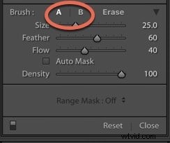 Master Brushes and Masks in Adobe Lightroom: Precise Photo Editing Guide