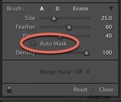 Master Brushes and Masks in Adobe Lightroom: Precise Photo Editing Guide