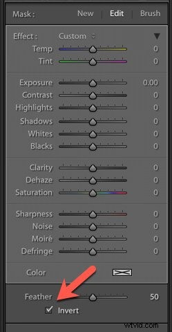 Master Brushes and Masks in Adobe Lightroom: Precise Photo Editing Guide