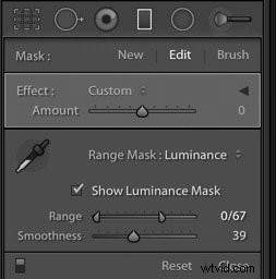 Master Brushes and Masks in Adobe Lightroom: Precise Photo Editing Guide