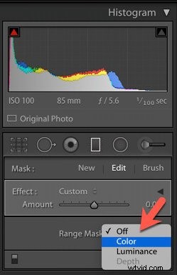 Master Brushes and Masks in Adobe Lightroom: Precise Photo Editing Guide
