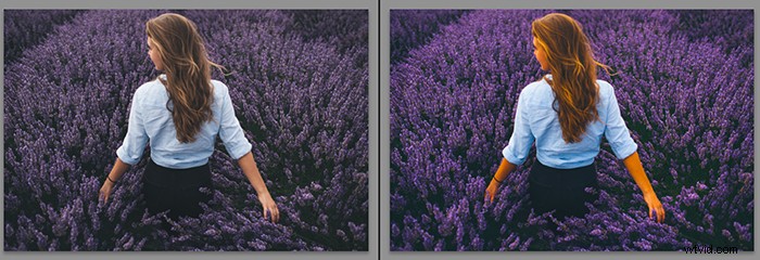 Vibrance vs. Saturation: Key Differences for Stunning Photography