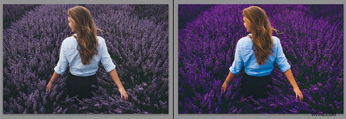 Vibrance vs. Saturation: Key Differences for Stunning Photography