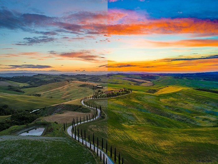 Vibrance vs. Saturation: Key Differences for Stunning Photography