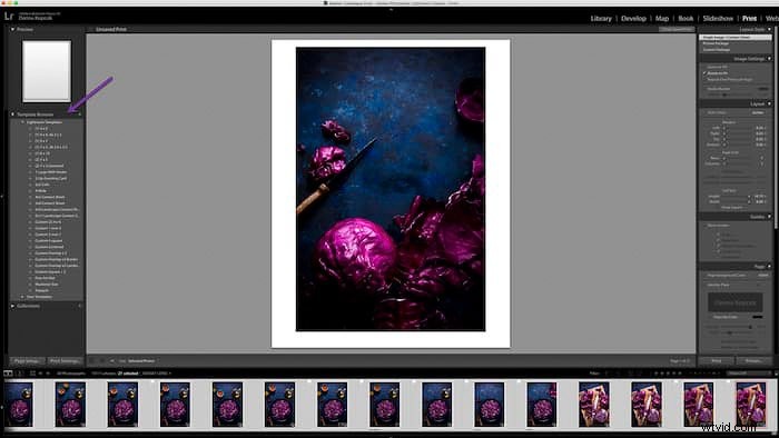 How to Create Professional Contact Sheets in Lightroom Classic CC: 5 Easy Steps