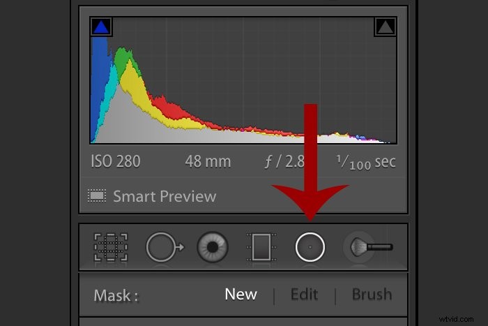 Master Lightroom s Radial Filter Tool: Step-by-Step Guide