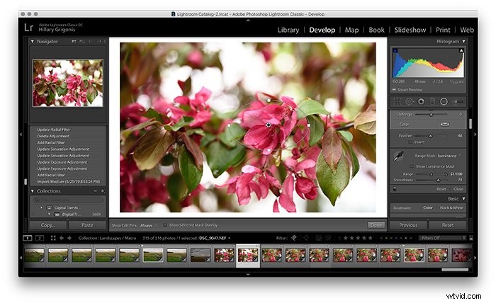 Master Lightroom s Radial Filter Tool: Step-by-Step Guide