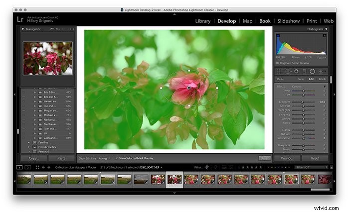 Master Lightroom s Radial Filter Tool: Step-by-Step Guide