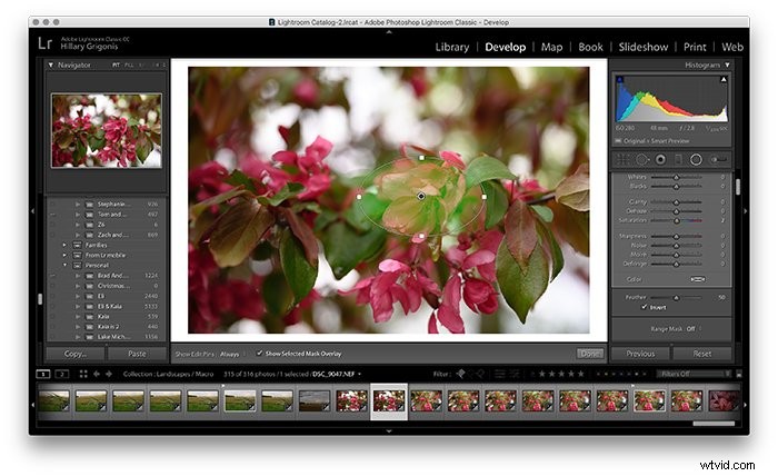 Master Lightroom s Radial Filter Tool: Step-by-Step Guide