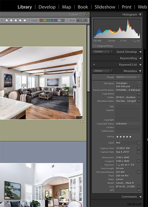 Adobe Bridge vs. Lightroom: Is It Truly the Best Free Alternative?
