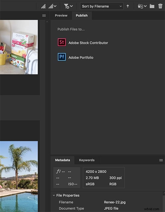 Adobe Bridge vs. Lightroom: Is It Truly the Best Free Alternative?