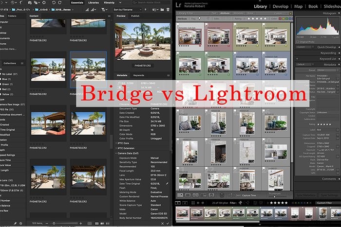 Adobe Bridge vs. Lightroom: Is It Truly the Best Free Alternative?