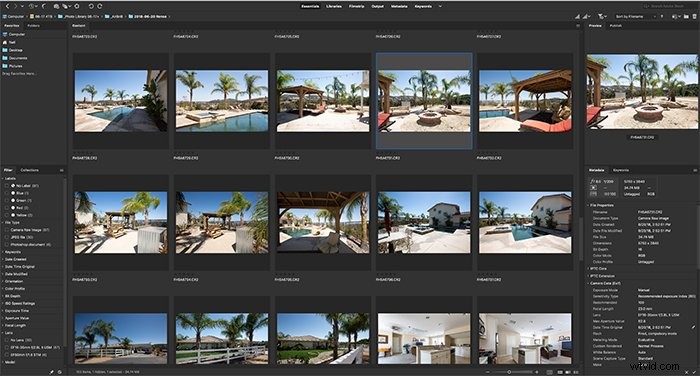 Adobe Bridge vs. Lightroom: Is It Truly the Best Free Alternative?