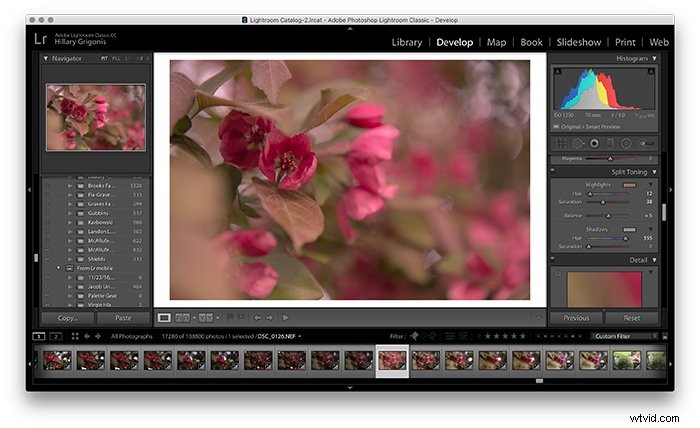 Master Split Toning in Lightroom: 5 Simple Steps for Stunning Photos