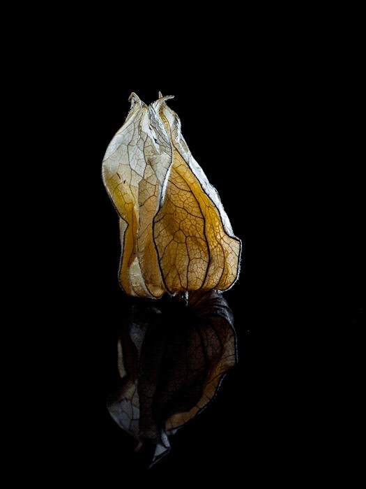 Master Lightroom s New Texture Slider: Pro Tips to Enhance Photo Details