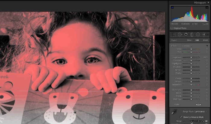 Master Lightroom s Auto Mask & Range Masks: Essential Tips for Pro Edits