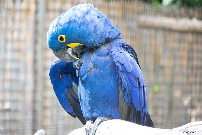 Master Lightroom s Auto Mask & Range Masks: Essential Tips for Pro Edits