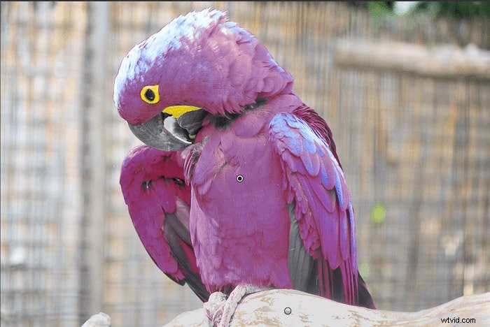 Master Lightroom s Auto Mask & Range Masks: Essential Tips for Pro Edits