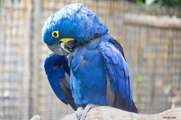 Master Lightroom s Auto Mask & Range Masks: Essential Tips for Pro Edits