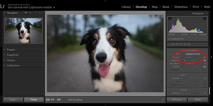 How to Create or Remove Vignettes in Adobe Lightroom: Step-by-Step Guide