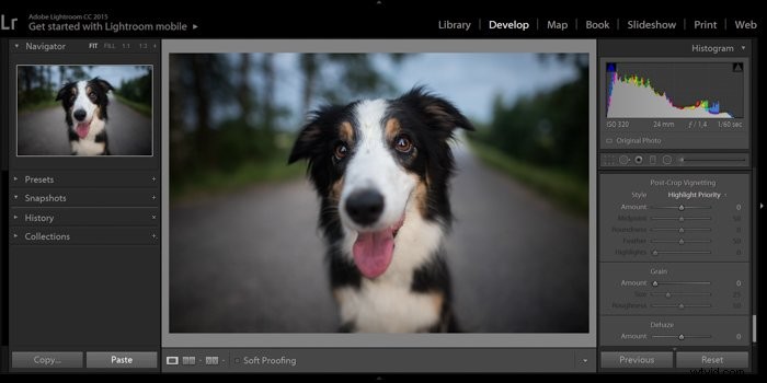 How to Create or Remove Vignettes in Adobe Lightroom: Step-by-Step Guide