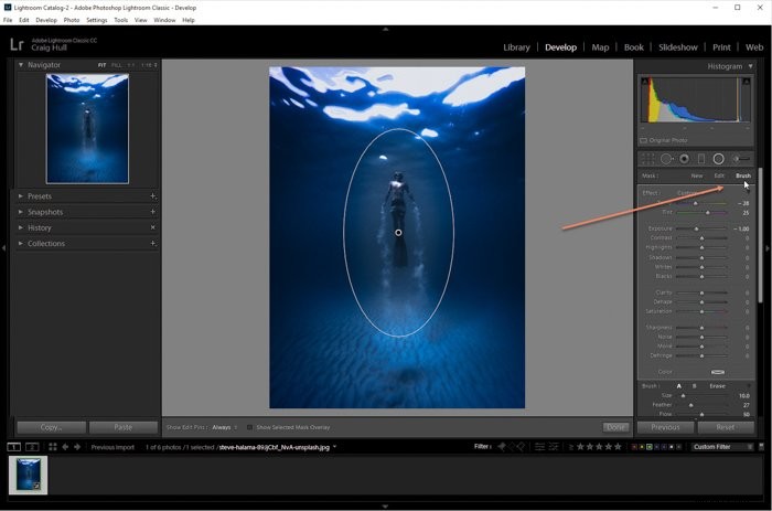 How to Create or Remove Vignettes in Adobe Lightroom: Step-by-Step Guide