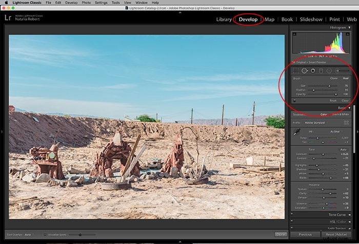 Master Spot Removal in Adobe Lightroom: Easy Step-by-Step Guide