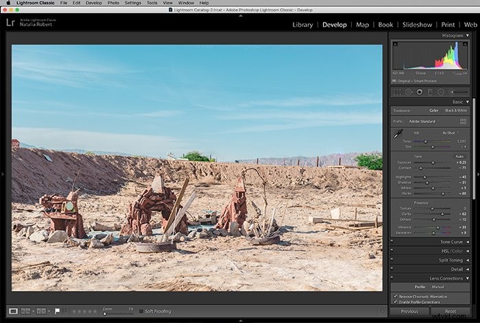 Master Spot Removal in Adobe Lightroom: Easy Step-by-Step Guide