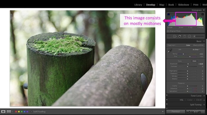Master Lightroom s Clarity Tool: Easy Step-by-Step Guide to Boost Photo Details