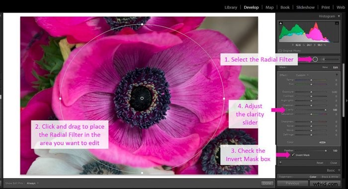 Master Lightroom s Clarity Tool: Easy Step-by-Step Guide to Boost Photo Details