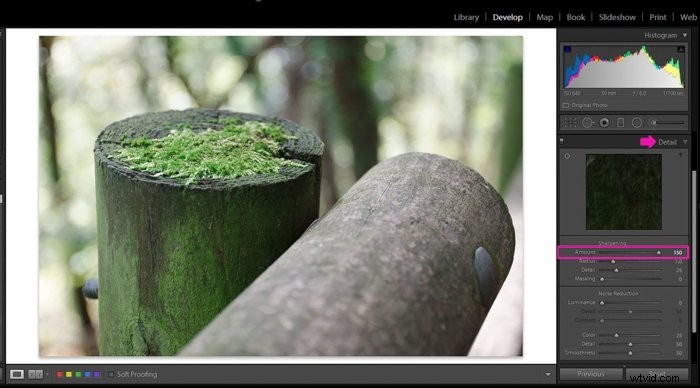 Master Lightroom s Clarity Tool: Easy Step-by-Step Guide to Boost Photo Details
