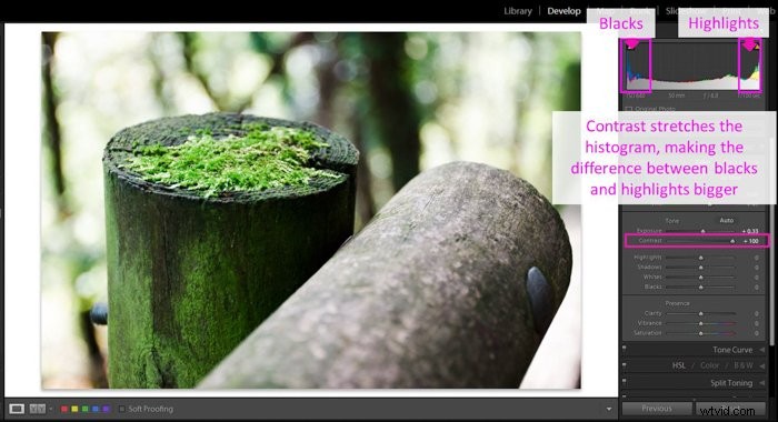 Master Lightroom s Clarity Tool: Easy Step-by-Step Guide to Boost Photo Details