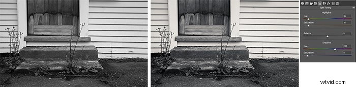 8 Expert Tips to Master Tone and Tonal Range in Photography