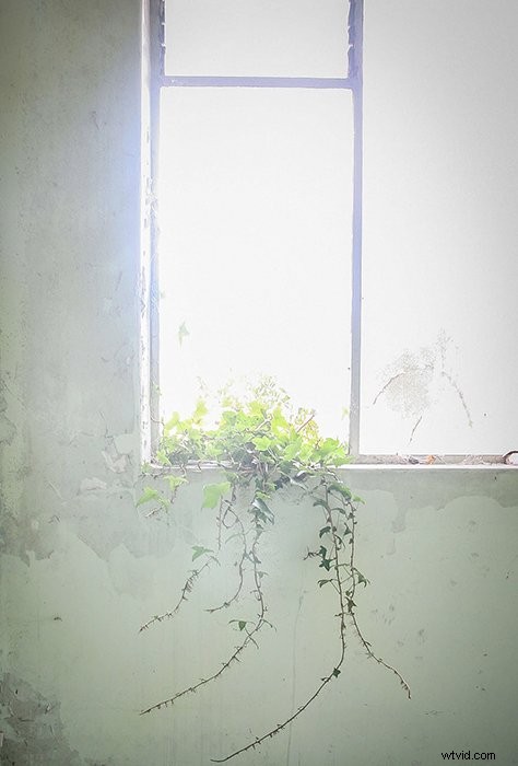 8 Expert Tips to Master Tone and Tonal Range in Photography