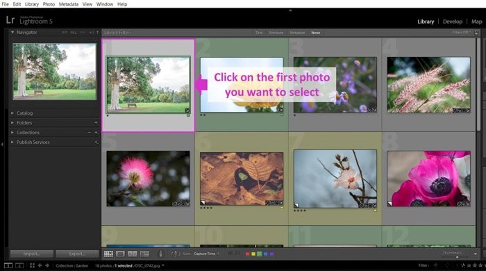 How to Add Professional Watermarks in Lightroom: Step-by-Step Guide