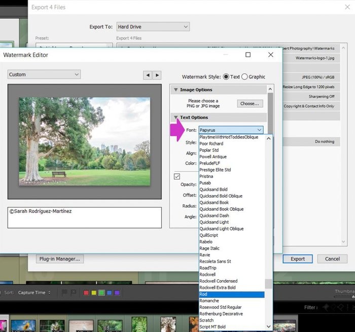 How to Add Professional Watermarks in Lightroom: Step-by-Step Guide