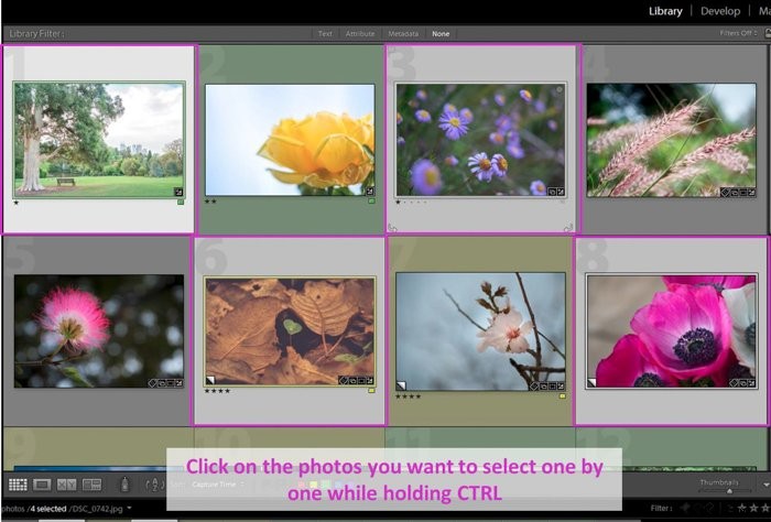 How to Add Professional Watermarks in Lightroom: Step-by-Step Guide