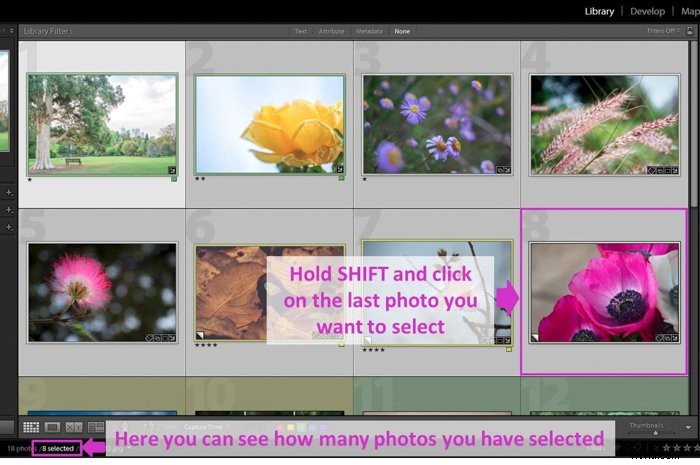 How to Add Professional Watermarks in Lightroom: Step-by-Step Guide