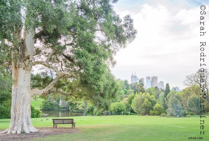 How to Add Professional Watermarks in Lightroom: Step-by-Step Guide